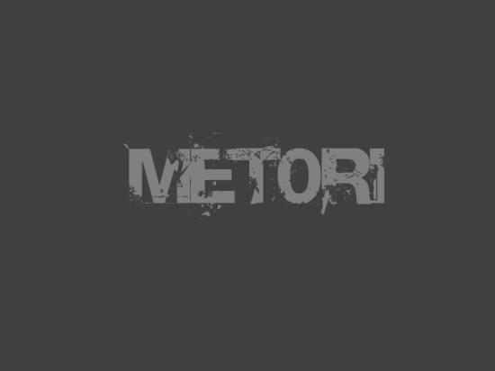 скачать чит metori для steam