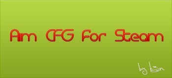 Aim cfg for Steam